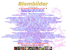 Tablet Screenshot of blomsidor.se